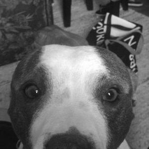 Meet your Posher, Zach